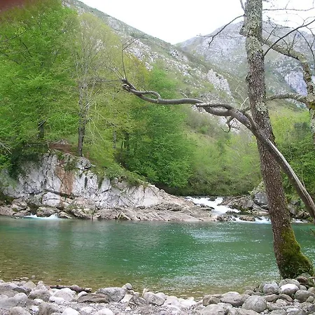 Ribera Del Sella Апартаменты Кангас-де-Онис